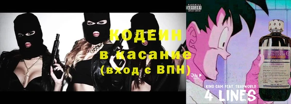 гидра Арсеньев