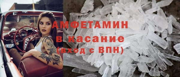 гидра Арсеньев