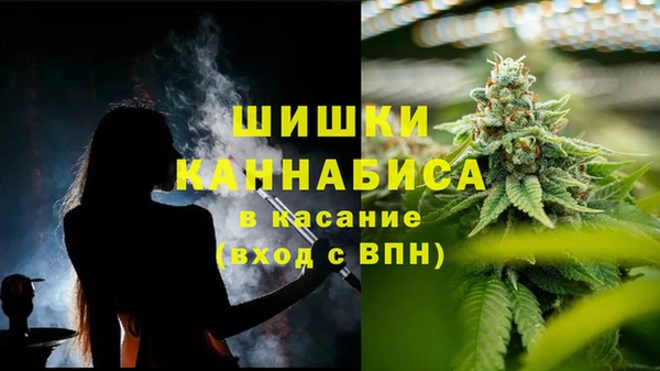 гидра Арсеньев